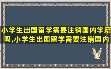 小学生出国留学需要注销国内学籍吗,小学生出国留学需要注销国内学籍吗高中