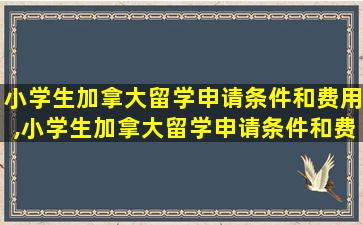 小学生加拿大留学申请条件和费用,小学生加拿大留学申请条件和费用多少