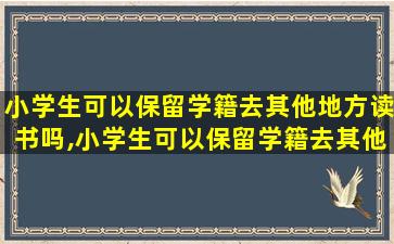 小学生可以保留学籍去其他地方读书吗,小学生可以保留学籍去其他地方读书吗知乎