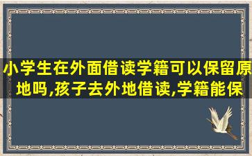 小学生在外面借读学籍可以保留原地吗,孩子去外地借读,学籍能保留在原来的学校吗