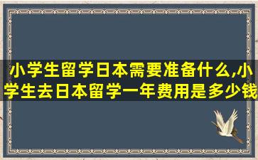 小学生留学日本需要准备什么,小学生去日本留学一年费用是多少钱