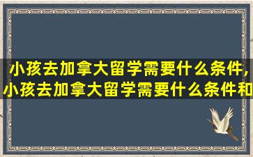 小孩去加拿大留学需要什么条件,小孩去加拿大留学需要什么条件和学历