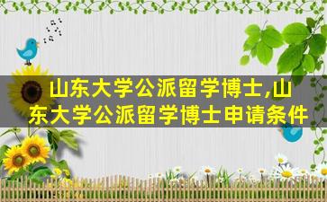 山东大学公派留学博士,山东大学公派留学博士申请条件