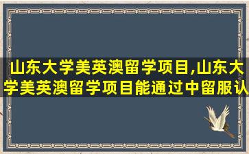 山东大学美英澳留学项目,山东大学美英澳留学项目能通过中留服认证吗