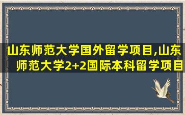 山东师范大学国外留学项目,山东师范大学2+2国际本科留学项目常见解答