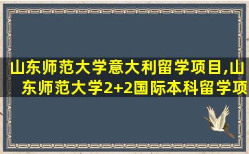 山东师范大学意大利留学项目,山东师范大学2+2国际本科留学项目常见解答