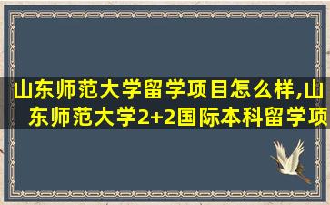 山东师范大学留学项目怎么样,山东师范大学2+2国际本科留学项目常见解答