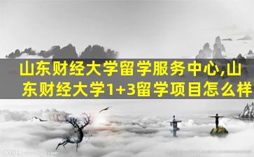 山东财经大学留学服务中心,山东财经大学1+3留学项目怎么样