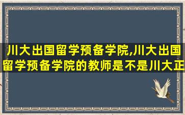 川大出国留学预备学院,川大出国留学预备学院的教师是不是川大正式教师