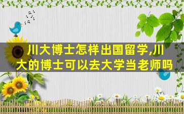 川大博士怎样出国留学,川大的博士可以去大学当老师吗