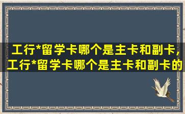 工行*
留学卡哪个是主卡和副卡,工行*
留学卡哪个是主卡和副卡的区别