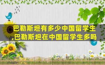 巴勒斯坦有多少中国留学生,巴勒斯坦在中国留学生多吗