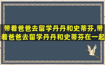 带着爸爸去留学丹丹和史蒂芬,带着爸爸去留学丹丹和史蒂芬在一起是哪集