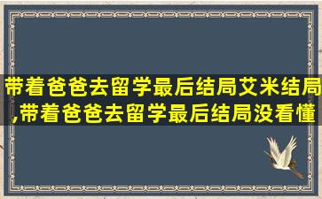 带着爸爸去留学最后结局艾米结局,带着爸爸去留学最后结局没看懂