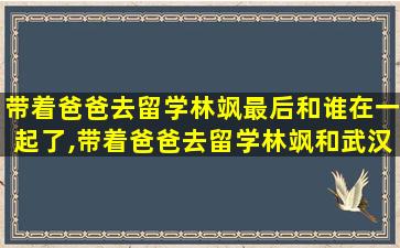 带着爸爸去留学林飒最后和谁在一起了,带着爸爸去留学林飒和武汉翔