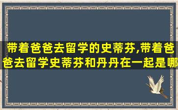 带着爸爸去留学的史蒂芬,带着爸爸去留学史蒂芬和丹丹在一起是哪一集