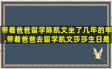 带着爸爸留学陈凯文坐了几年的牢,带着爸爸去留学凯文莎莎生日是第几集