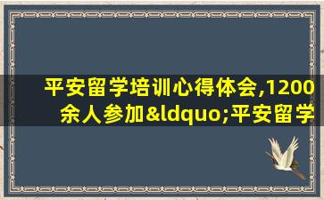 平安留学培训心得体会,1200余人参加“平安留学”出国留学行前培训会