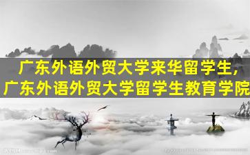 广东外语外贸大学来华留学生,广东外语外贸大学留学生教育学院