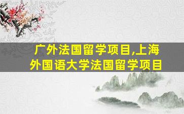 广外法国留学项目,上海外国语大学法国留学项目