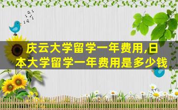 庆云大学留学一年费用,日本大学留学一年费用是多少钱