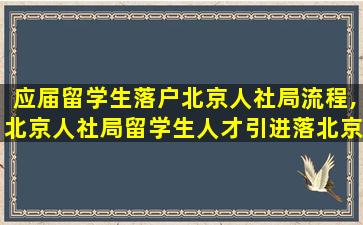 应届留学生落户北京人社局流程,北京人社局留学生人才引进落北京户口公示