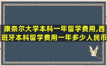 康奈尔大学本科一年留学费用,西班牙本科留学费用一年多少人民币