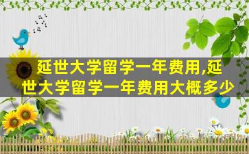 延世大学留学一年费用,延世大学留学一年费用大概多少