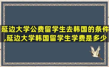 延边大学公费留学生去韩国的条件,延边大学韩国留学生学费是多少