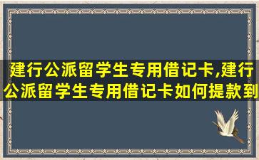 建行公派留学生专用借记卡,建行公派留学生专用借记卡如何提款到银行卡