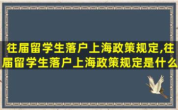 往届留学生落户上海政策规定,往届留学生落户上海政策规定是什么