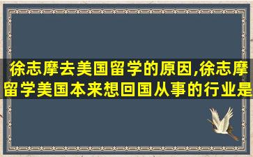 徐志摩去美国留学的原因,徐志摩留学美国本来想回国从事的行业是