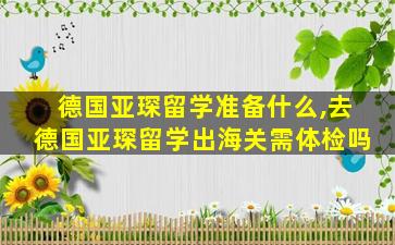 德国亚琛留学准备什么,去德国亚琛留学出海关需体检吗