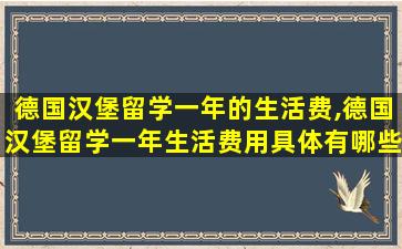 德国汉堡留学一年的生活费,德国汉堡留学一年生活费用具体有哪些