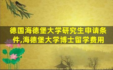 德国海德堡大学研究生申请条件,海德堡大学博士留学费用