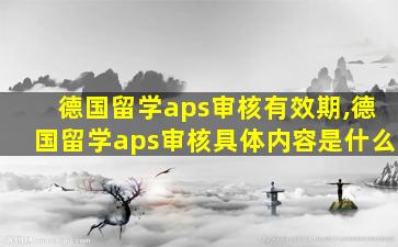 德国留学aps审核有效期,德国留学aps审核具体内容是什么