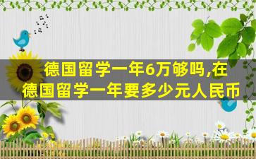 德国留学一年6万够吗,在德国留学一年要多少元人民币