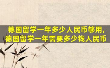 德国留学一年多少人民币够用,德国留学一年需要多少钱人民币