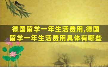 德国留学一年生活费用,德国留学一年生活费用具体有哪些