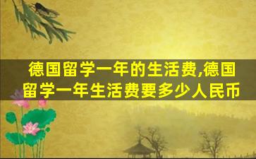 德国留学一年的生活费,德国留学一年生活费要多少人民币