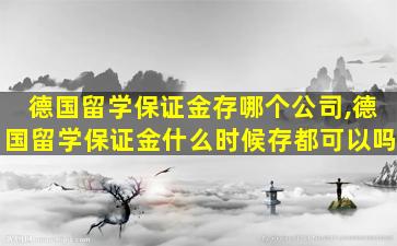 德国留学保证金存哪个公司,德国留学保证金什么时候存都可以吗