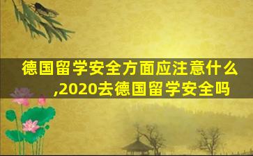 德国留学安全方面应注意什么,2020去德国留学安全吗