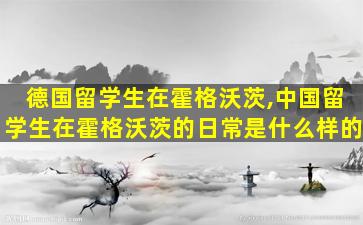 德国留学生在霍格沃茨,中国留学生在霍格沃茨的日常是什么样的