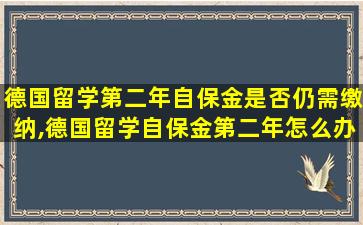 德国留学第二年自保金是否仍需缴纳,德国留学自保金第二年怎么办