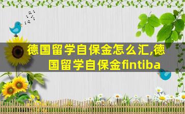 德国留学自保金怎么汇,德国留学自保金fintiba