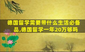 德国留学需要带什么生活必备品,德国留学一年20万够吗