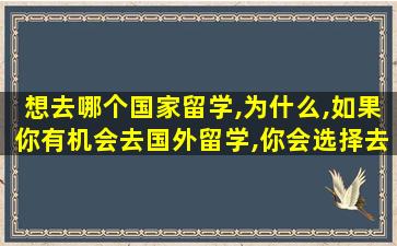 想去哪个国家留学,为什么,如果你有机会去国外留学,你会选择去哪个国家,为什么