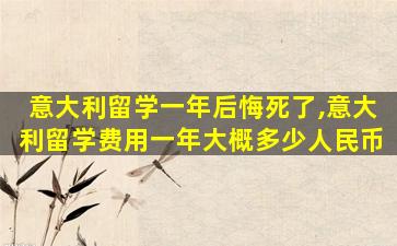 意大利留学一年后悔死了,意大利留学费用一年大概多少人民币