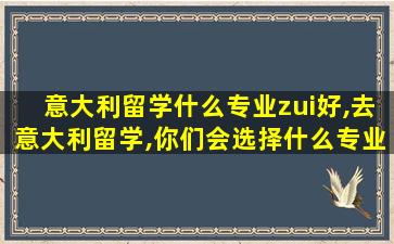 意大利留学什么专业zui
好,去意大利留学,你们会选择什么专业