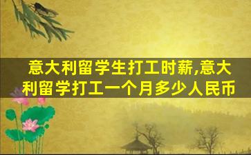 意大利留学生打工时薪,意大利留学打工一个月多少人民币